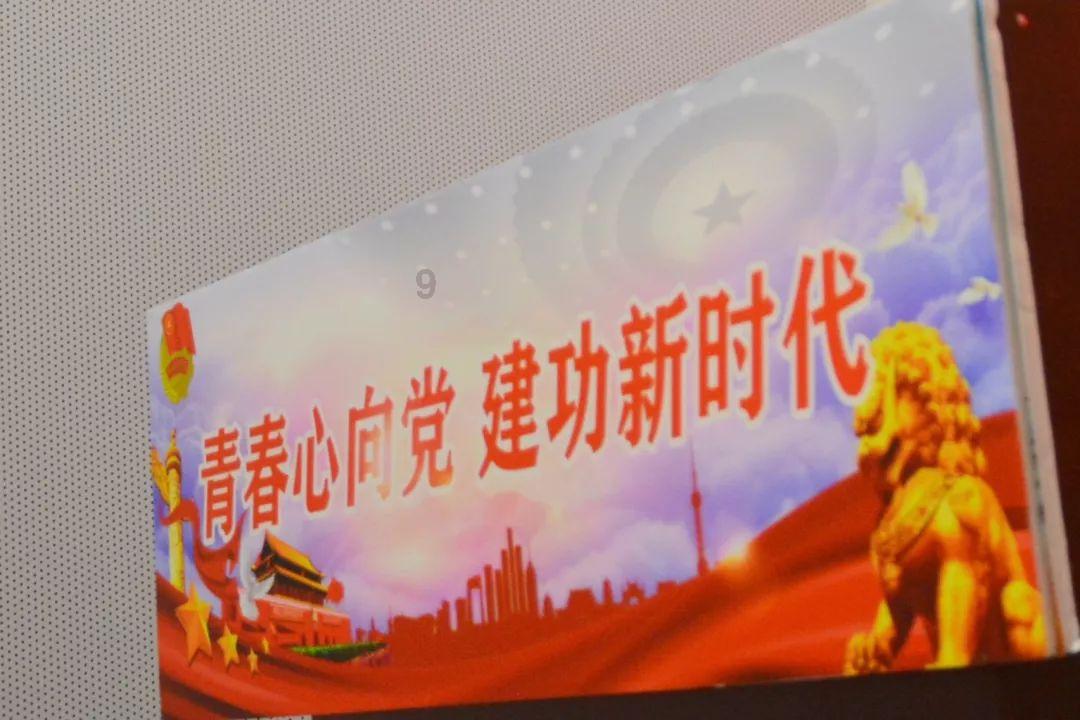 拯救卡通獾